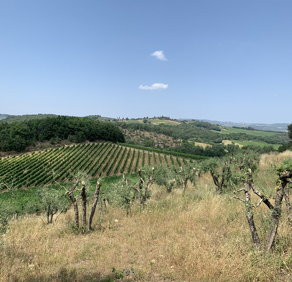 Via Francigena - The view from Monteriggioni