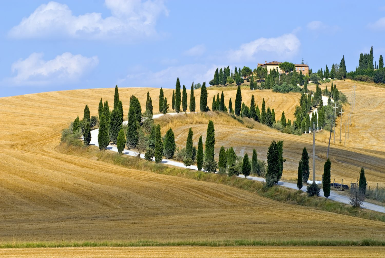 EBike Tour sulle Strade Bianche Tuscany Quintessence