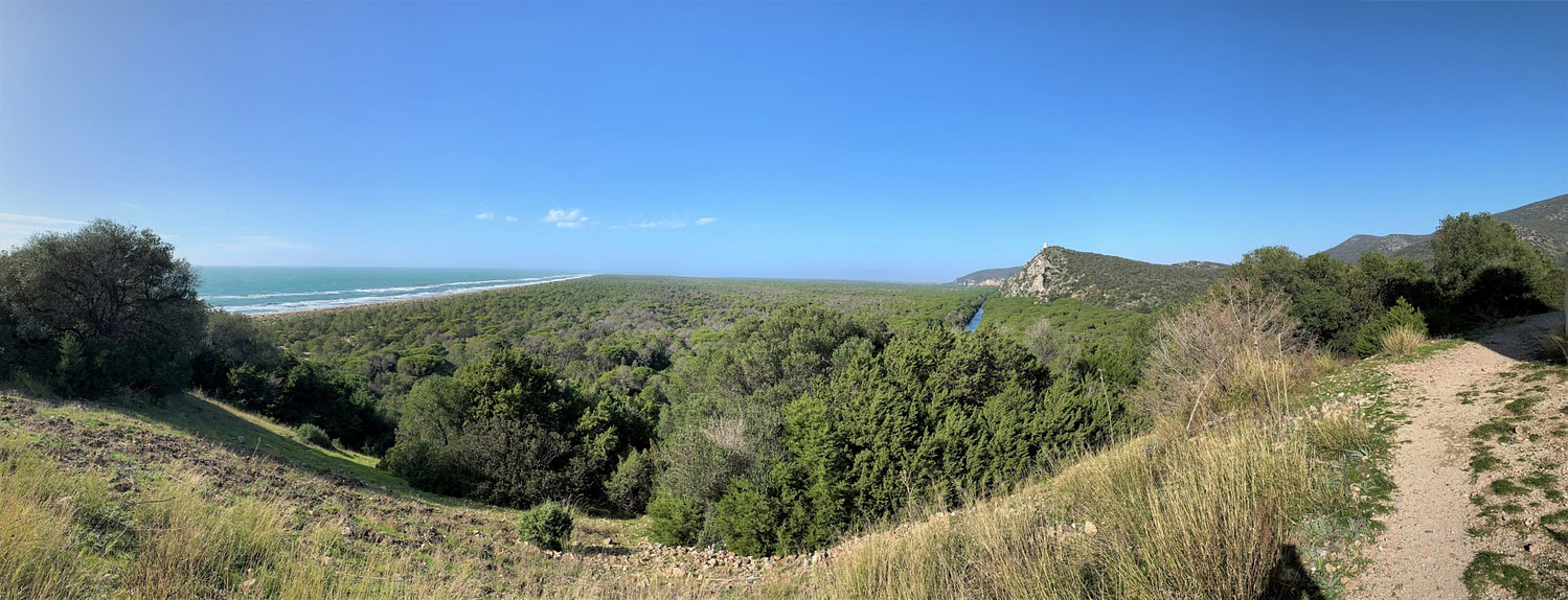 Maremma National Park - scenic view