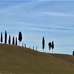Via Francigena by bike - From Lucca to Siena - Relaxing view