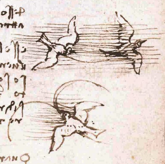 Monte Ceceri FIesole - Leonardo Da Vinci_- Codice Volo Uccelli